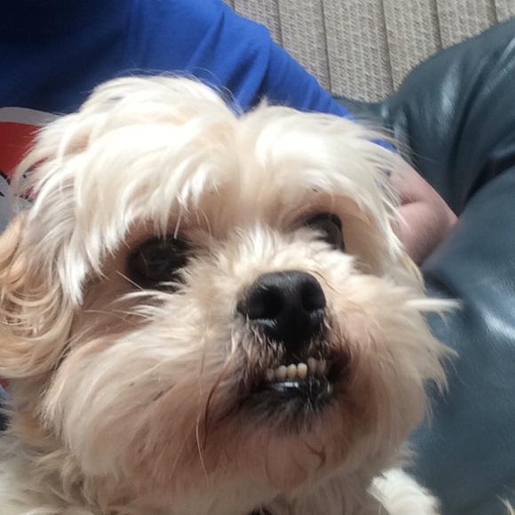 Meet your Posher, Steven - Picture 1 of 1